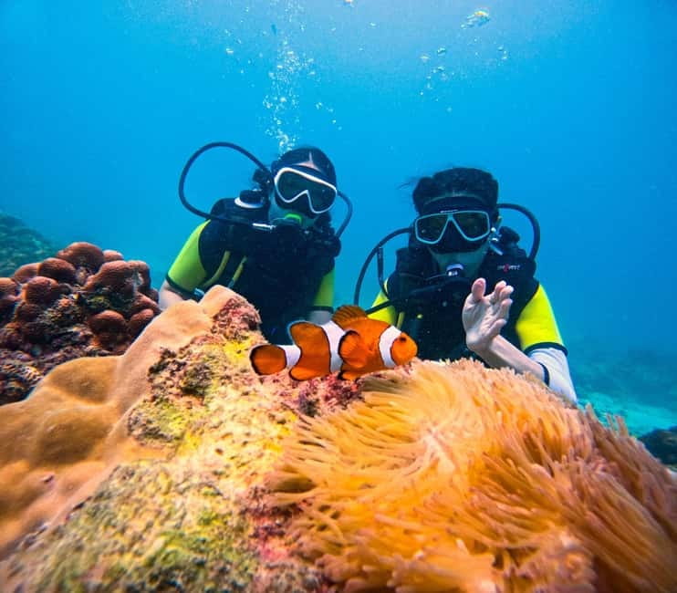Phuket: 3 Khai Islands Speedboat Tour- Snorkeling & Relaxing - Getting There: Pickup Timing, Van Transfer, and the Harbor Switch