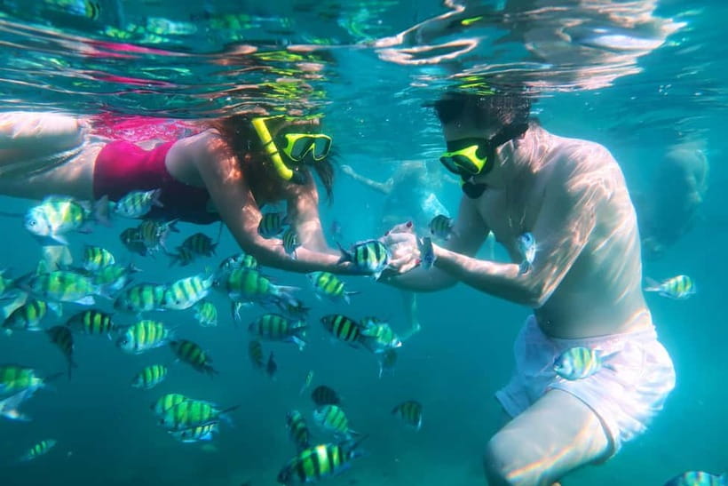 Phuket: 3 Khai Islands Speedboat Tour- Snorkeling & Relaxing - Food, Snacks, and Drinks: The Little Details That Make a Budget Tour Feel Paid-For