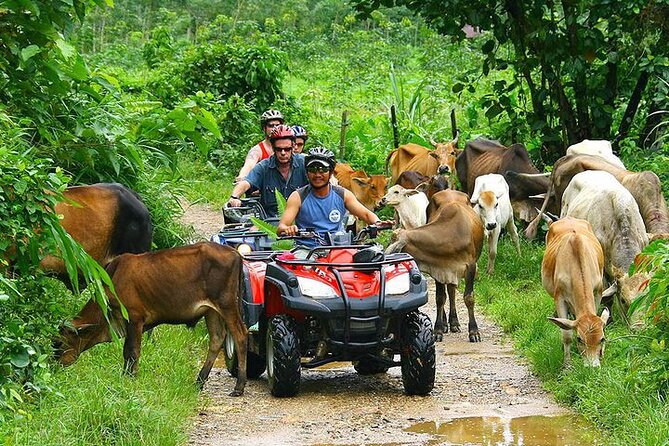 Phuket ATV Seaview On Tour - The “Seaview On Tour” payoff: Andaman Sea views and photo time