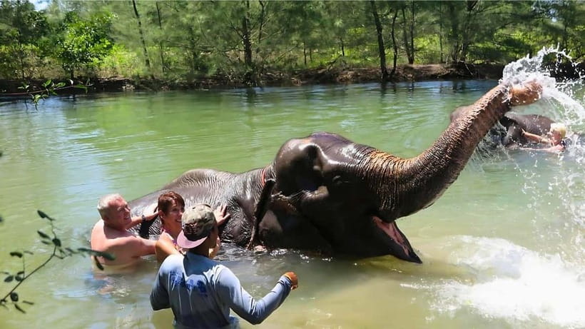 Phuket: Bamboo Rafting & ATV Ride (Optional) - Turtle Conservation Centre: what you’ll actually do there