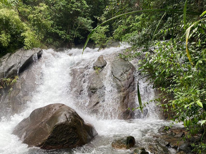 Phuket: Bamboo Rafting, Monkey Cave, and ATV Option - Pickup points, long drives, and where the day can feel tiring