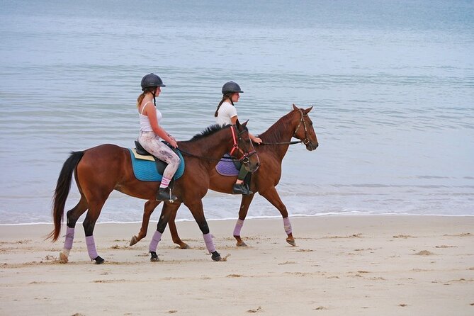 Phuket Beach and Horse Rides 1 Hour Experience - Entering The Ride at Kamala Horse Riding Club (Then You’re Off)