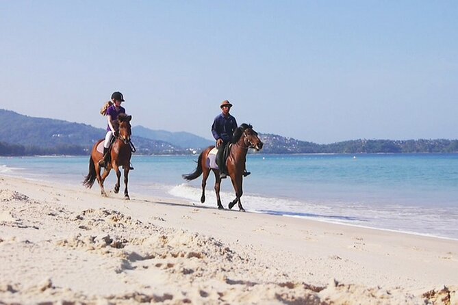 Phuket Beach and Horse Rides 1 Hour Experience - Who This Works Best For (And Who Might Want a Different Option)