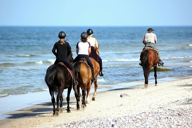 Phuket Beach and Horse Rides 1 Hour Experience - Practical Timing Tips for Phuket Heat (Morning Wins)
