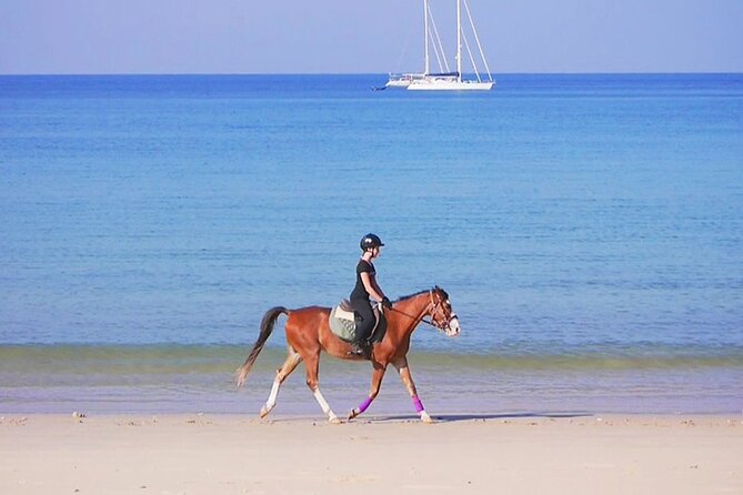 Phuket Beach and Horse Rides 1 Hour Experience - Safety and Horse Control Rules You Should Know Before Booking