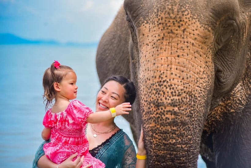 Phuket:Beach walk with elephants, rain & care. 2.5 hours - Key things to know before you go