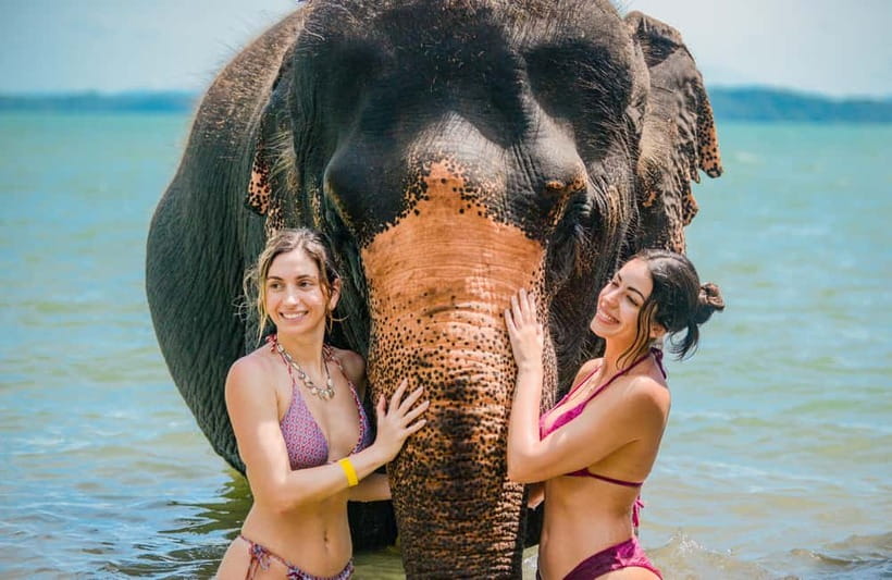 Phuket:Beach walk with elephants, rain & care. 2.5 hours - Arriving at Lily Elephant Camp in Phuket, sea air included