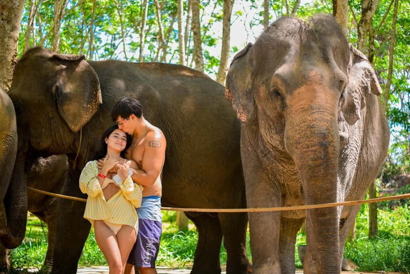 Phuket:Beach walk with elephants, rain & care. 2.5 hours - Beach brushing, bathing in the sea, and the rainshower moment