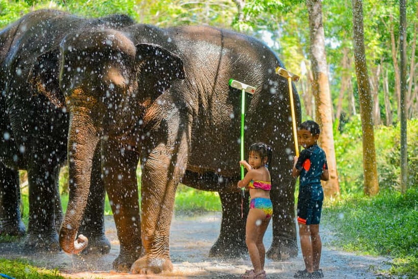 Phuket:Beach walk with elephants, rain & care. 2.5 hours - What the camp teaches you about care and conservation, with real human guides