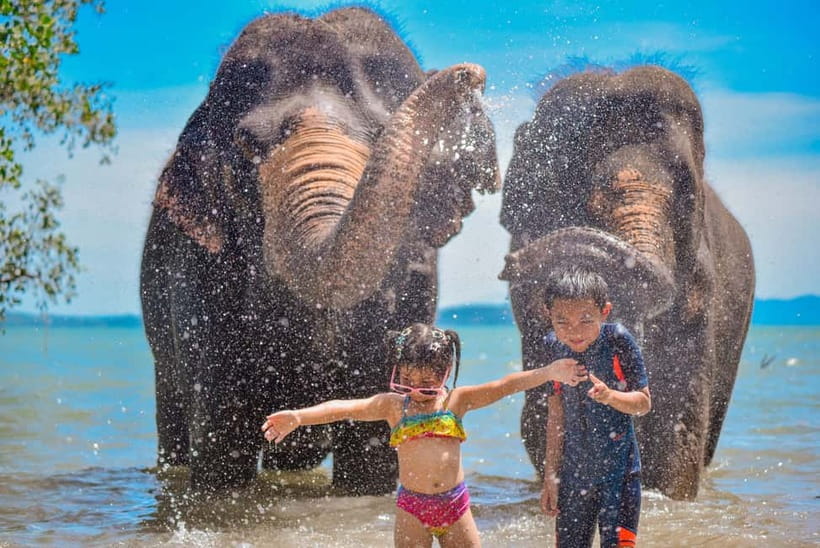 Phuket:Beach walk with elephants, rain & care. 2.5 hours - The 15 to 20 minute jungle walk with elephants: short, but meaningful