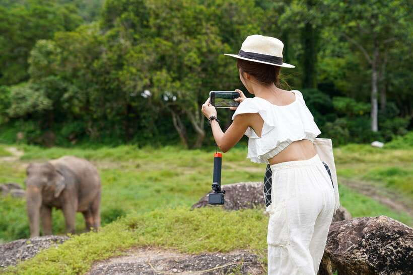 Phuket: Bukit Elephant Park Sanctuary Walk and Feed Tour - No riding, no bathing, and why the strictness actually helps