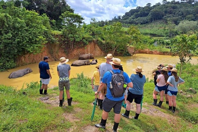 Phuket City Tour & Elephant Sanctuary – Town, Temple, Food & View - Old Phuket Town: shophouses, multicultural stories, and a short walk