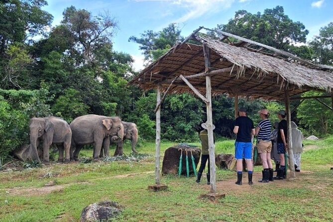 Phuket City Tour & Elephant Sanctuary – Town, Temple, Food & View - Wat Chalong: temple culture with simple optional activities