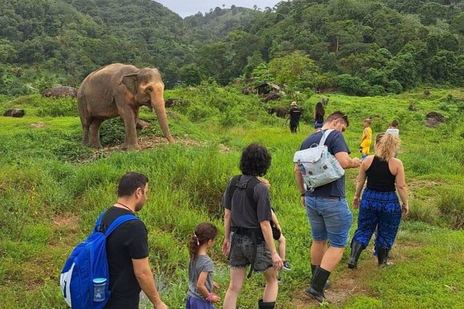 Phuket City Tour & Elephant Sanctuary – Town, Temple, Food & View - Stop 1: Apong Konyo Samkong and the Phuket snack intro