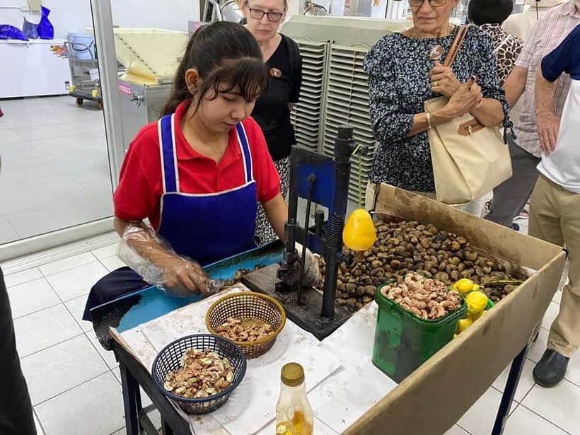 Phuket City Tour with Night Market Visit & Elephant Feeding - Getting Started: Pickup, Timing, and How to Keep It Easy