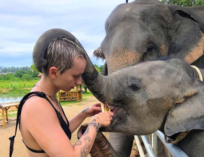 Phuket City Tour with Night Market Visit & Elephant Feeding - Karon Viewpoint: The First Big Payoff