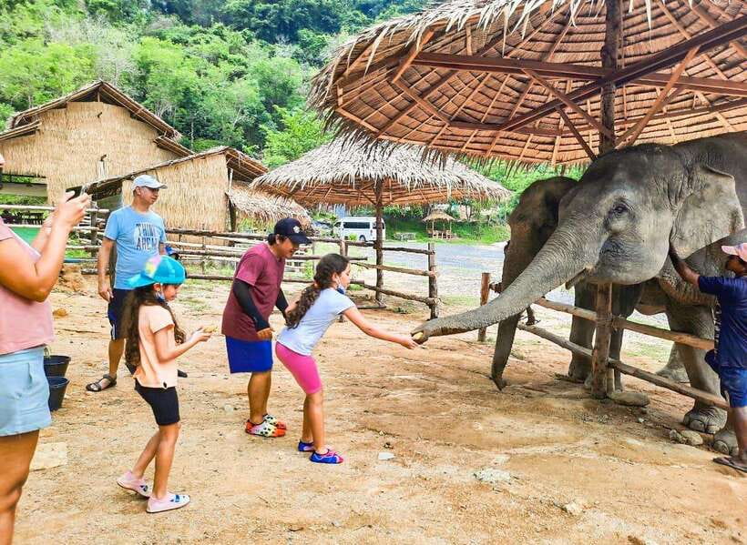 Phuket City Tour with Viewpoints, Temples & Elephant Feeding - Cashew factory and related tastings: fun quick stop, not a time-sink