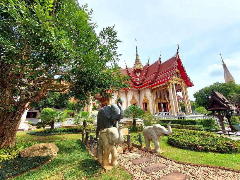 Phuket City Tour with Viewpoints, Temples & Elephant Feeding - Elephant feeding at Phuket Elephant Care: the highlight that deserves extra attention