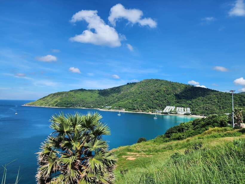 Phuket City Tour with Viewpoints, Temples & Elephant Feeding - Khao Rang Hill observation deck: views plus wild monkeys as your bonus