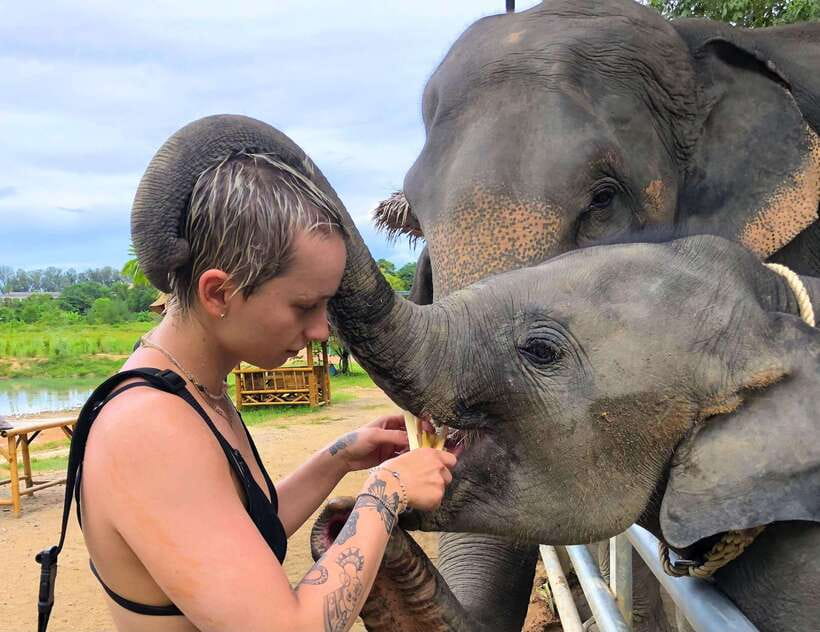 Phuket City Tour with Viewpoints, Temples & Elephant Feeding - Should you book this Phuket City Tour with Viewpoints, Temples & Elephant Feeding?