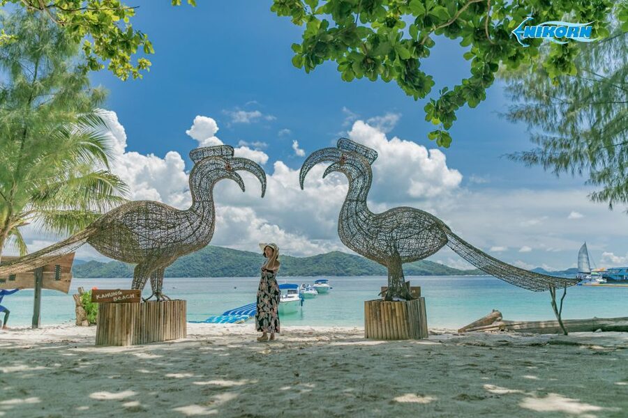 Phuket: Coral Island Day Tour by Speedboat - The speedboat ride: fast transfer, smaller time budget