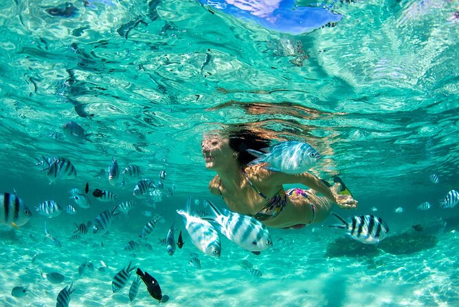 Phuket Coral Island Private Snorkeling Adventure All Inclusive - Key points before you go