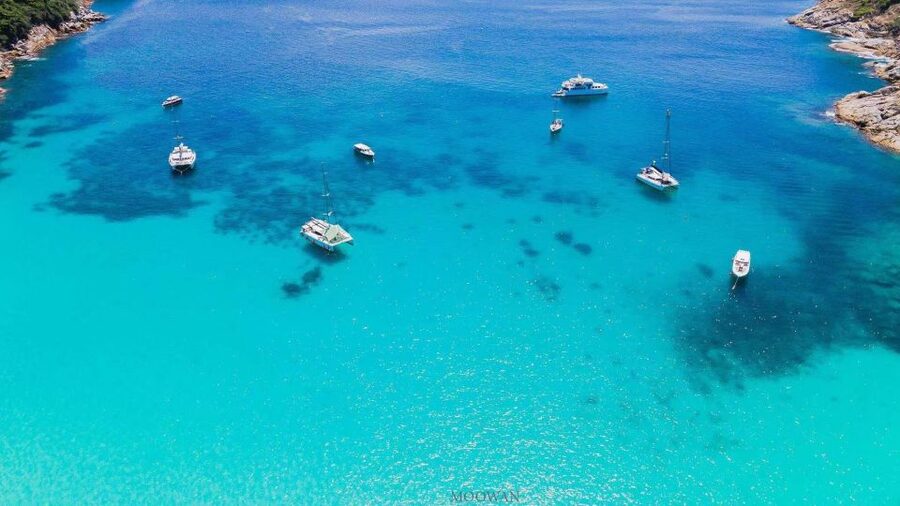 Phuket: Coral & Racha Islands Day Trip By Speedboat - Marine life and what you might see when snorkeling near shore