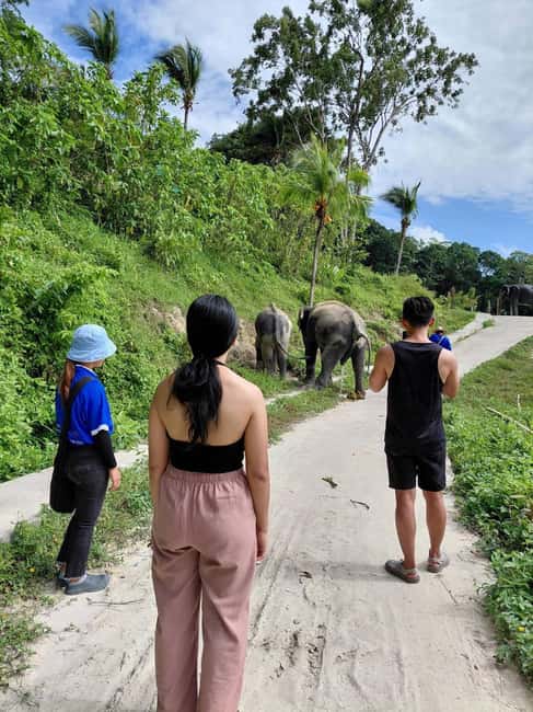 Phuket: Eco Guided Tour at Elephant Sanctuary - Key things I’d plan around