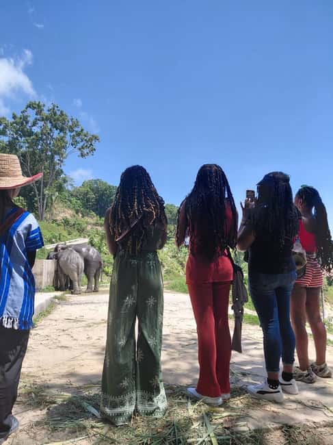 Phuket: Eco Guided Tour at Elephant Sanctuary - Why This Phuket Elephant Sanctuary Tour Feels Different