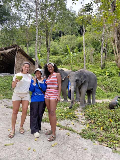 Phuket: Eco Guided Tour at Elephant Sanctuary - Getting There: Van Time and Drop-Offs Across Phuket