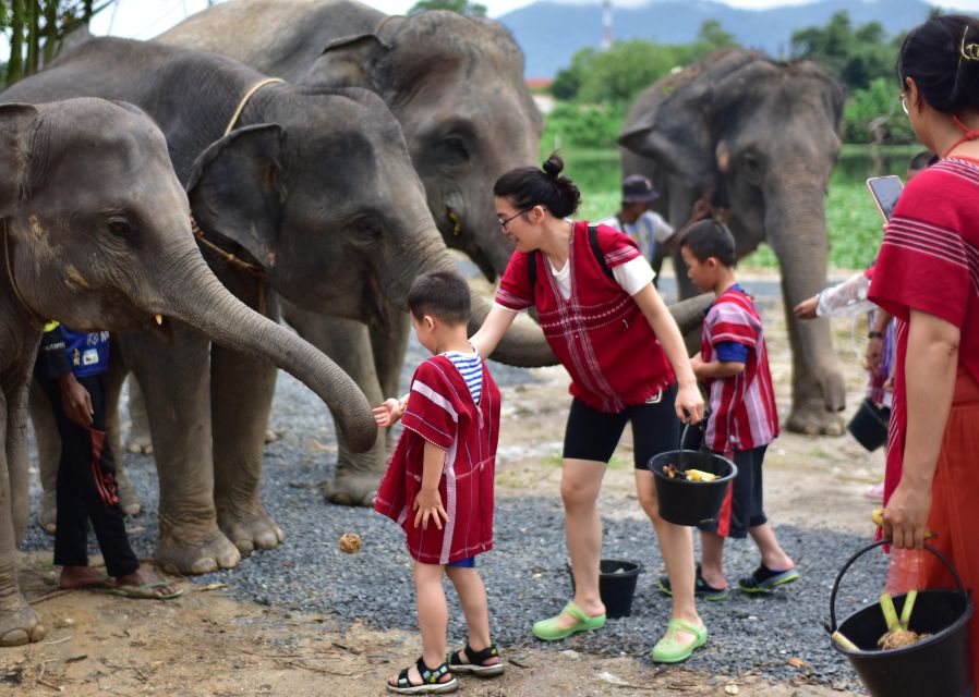 Phuket: Elephant Experience with Lunch or Dinner and Pickup - Who Should Book This Elephant Day, and Who Might Prefer Something Else