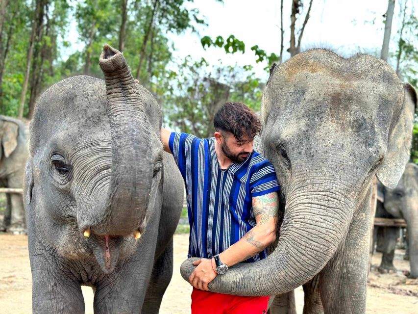 Phuket: Elephant Experience with Lunch or Dinner and Pickup - Pickup and Timing: How the Day Moves (Morning vs Afternoon)
