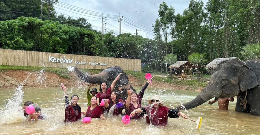 Phuket: Elephant Experience with Lunch or Dinner and Pickup - Karen Culture + Thai Herbs: What You Learn Before You Feed