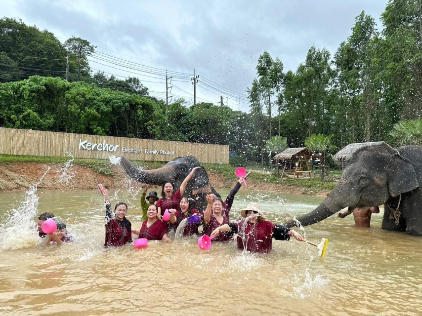 Phuket: Elephant Experience with Lunch or Dinner and Pickup - Price and Value: Why $67 Can Make Sense Here
