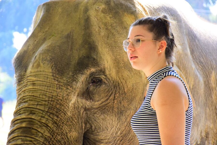 Phuket: Elephant Feeding Program - Checking in at Green Elephant Sanctuary Park (Choeng Thale)