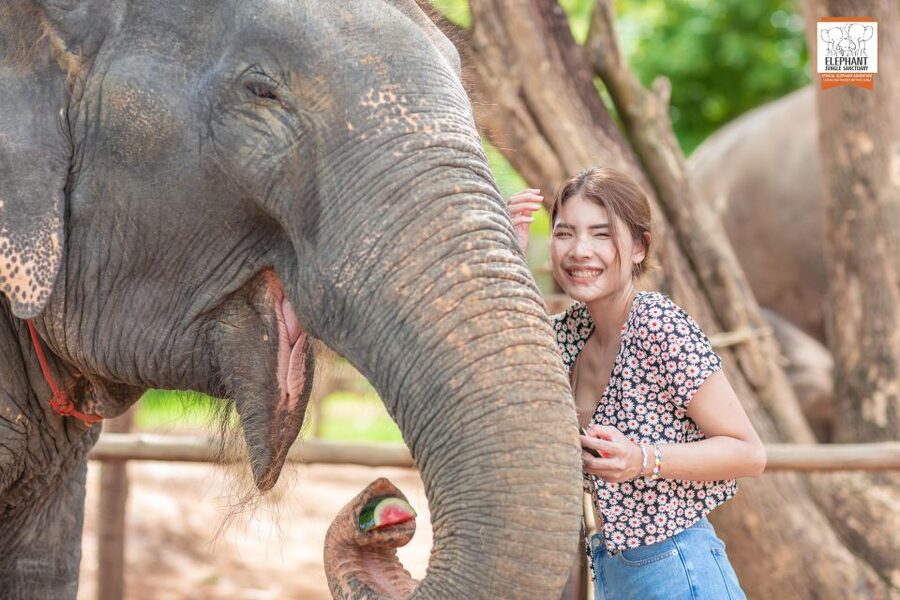 Phuket: Elephant Jungle Sanctuary Ethical Feeding Experience - Meeting at Elephant Jungle Cafe and getting ready for the 1-hour session