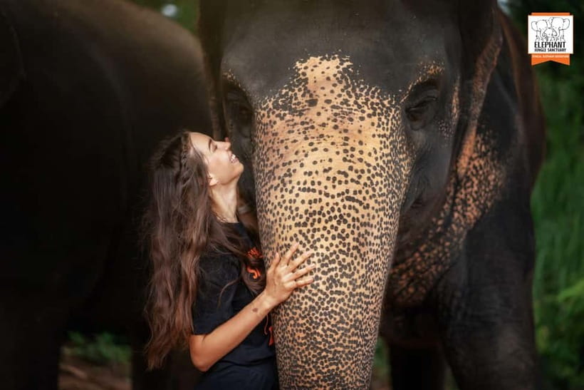 Phuket: Elephant Jungle Sanctuary Ethical Feeding Experience - Price and value: what $28 really buys in Phuket