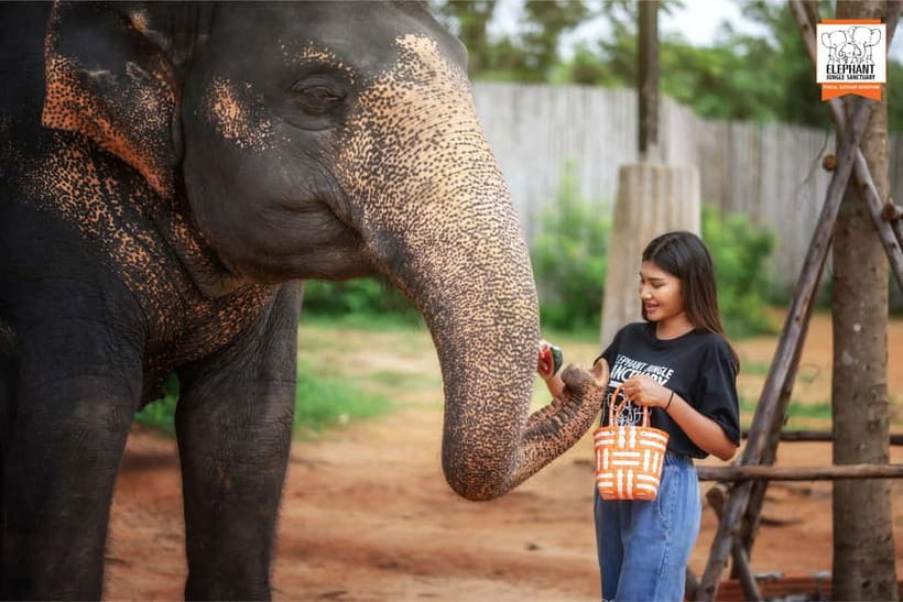 Phuket: Elephant Jungle Sanctuary Ethical Feeding Experience - Who this is for, and who should consider a different day