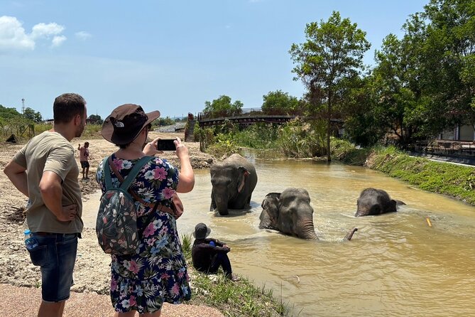 Phuket: Elephant Nature Walk - Guided Tour with Transport - River wading and splash time: the payoff for your phone storage