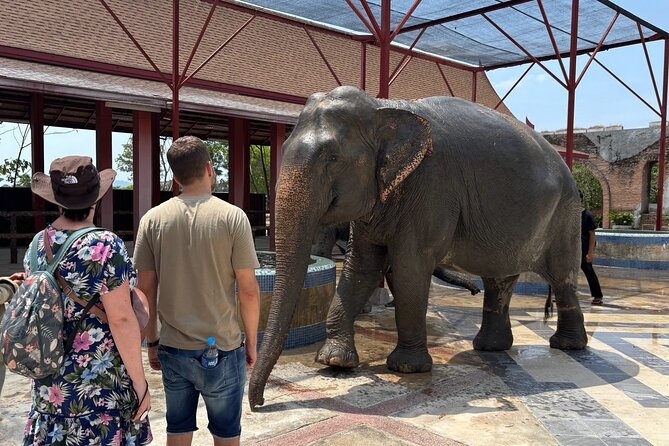Phuket: Elephant Nature Walk - Guided Tour with Transport - Who should book this tour, and who should think twice