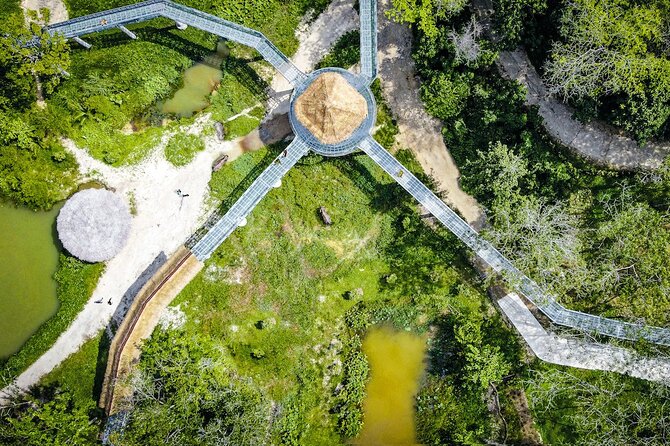 Phuket Elephant Sanctuary Canopy Walkway Tour - The 90-Minute Flow: What Happens From Check-In to Snacks