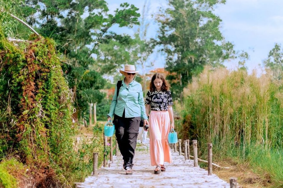 Phuket: Elephant Sanctuary Feed and Bathe Gentle Giants - Group Mood, Safety Rules, and How to Prepare