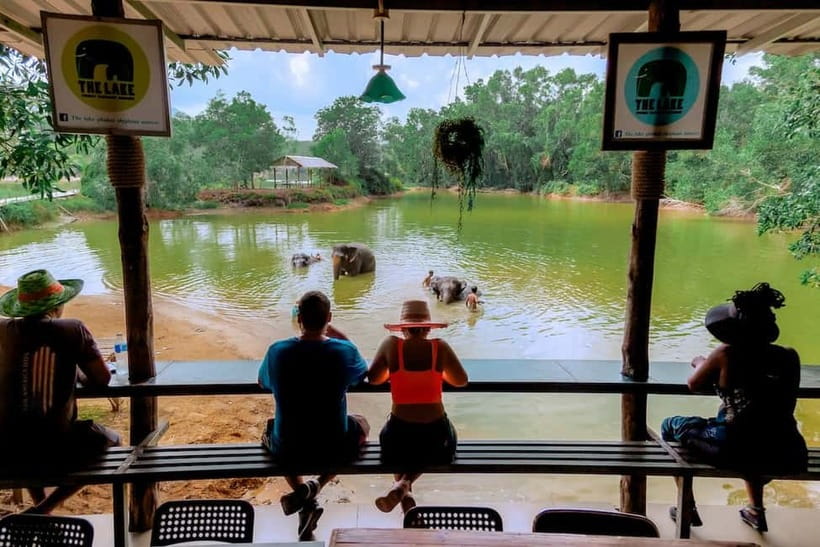 Phuket: Elephant Sanctuary Feed and Bathe Gentle Giants - Unlimited Photo Time, Plus Real Moments That Aren’t Rushed
