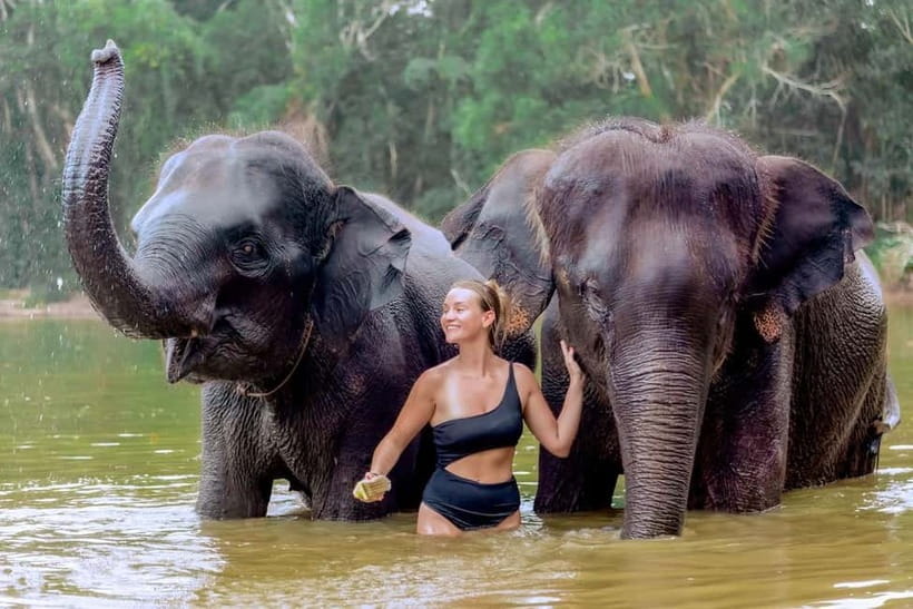 Phuket: Elephant Sanctuary Feed and Bathe Gentle Giants - Hotel Transfer and an English Guide: The Quiet Value Add