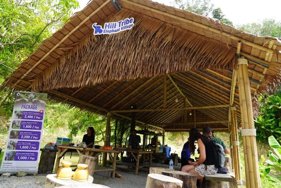 Phuket: Elephant Sanctuary Guided Tour with Hotel Transfers - Key Highlights You’ll Feel During the Hour