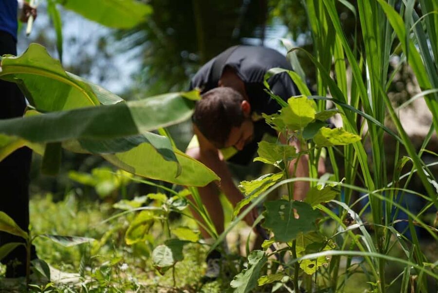 Phuket: Elephant Sanctuary Guided Tour with Hotel Transfers - Jungle Walk Time: Serene Grounds With a Hill Climb