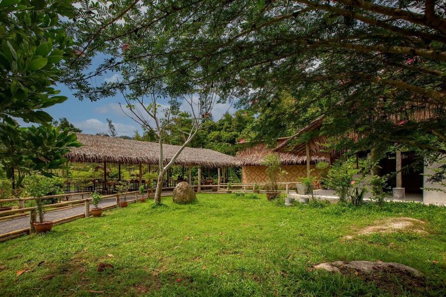 Phuket: Elephant Sanctuary Guided Tour with Hotel Transfers - Price and Value: About $41 for a Short Ethical Hour
