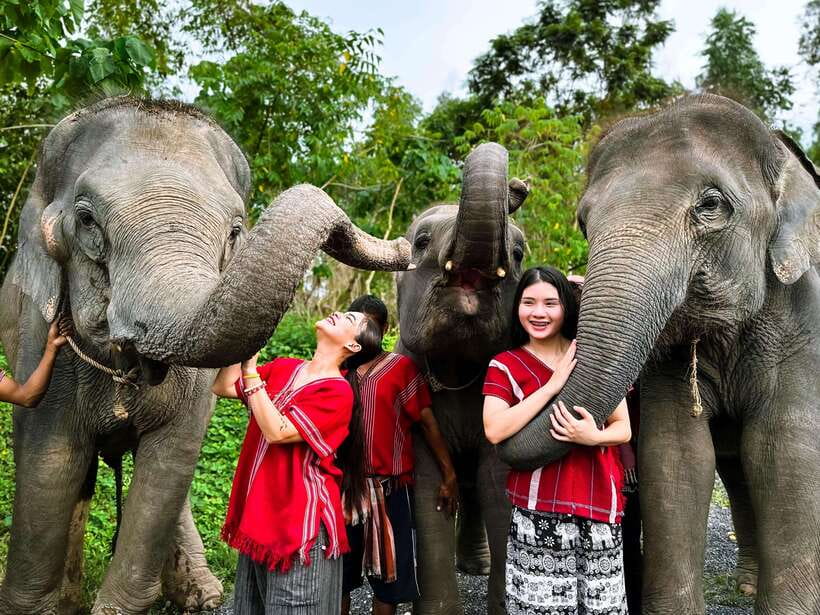 Phuket : Experience feeding and bathing elephants 1.5 Hrs. - Kerchor Elephant Family Phuket: what you actually do in 1.5 hours