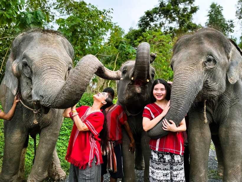Phuket : Experience feeding and bathing elephants 1.5 Hrs. - Food, coffee, cookies, and how the photo download really helps