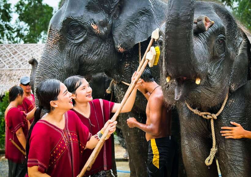 Phuket : Experience feeding and bathing elephants 1.5 Hrs. - Is this tour ethical? What to look for in how you’re treated